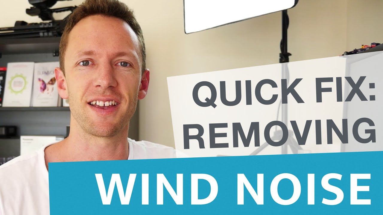 What Is The Best Wind Noise Remover?